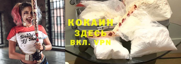 ПСИЛОЦИБИНОВЫЕ ГРИБЫ Алексеевка