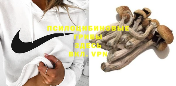 соль курить ск Алзамай