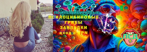 PSILOCYBIN Алексин