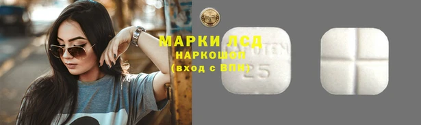 ПСИЛОЦИБИНОВЫЕ ГРИБЫ Алексеевка