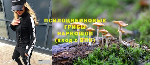 PSILOCYBIN Алексин