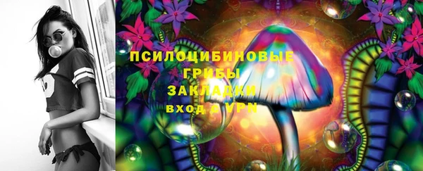 ПСИЛОЦИБИНОВЫЕ ГРИБЫ Алексеевка
