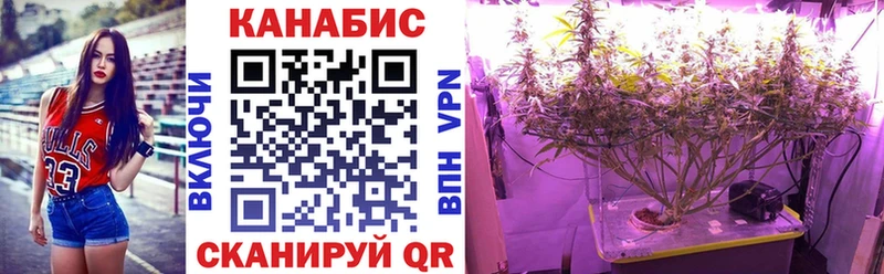 наркота Алзамай Марихуана семена